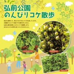 弘前公園のんびりコケ散歩 画像